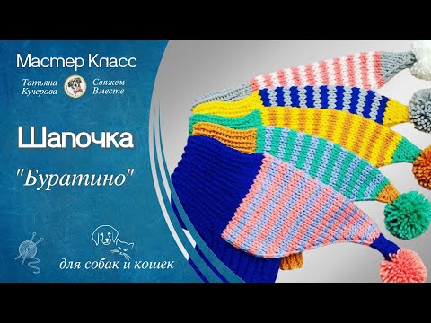 Видео: Шапочка для собаки спицами, DIY beanie for dog and cat