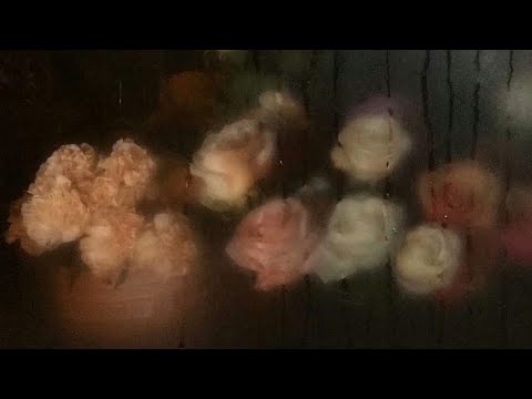 Видео: Billie Eilish-hostage перевод на русский (рус саб)