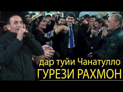 Видео: Гурези Рахмон БАЗМОРО дар туйи Чанатулло Абдуллоев