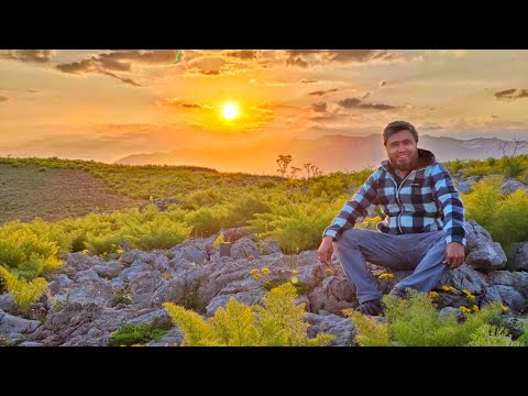 Видео: Moʻjizakor Poʻlatxon platosi | Мўъжизакор Пўлатхон платоси (2823 м)