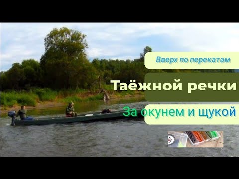 Видео: Окуни-кони. полярис зарешал