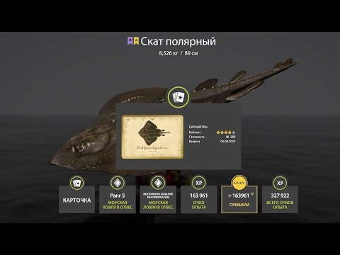 Видео: 📢СТРИМ РР4🔥УТРО.МОРЕ.РЫБНЫЕ ТРОФЕИ🔥РУССКАЯ РЫБАЛКА 4