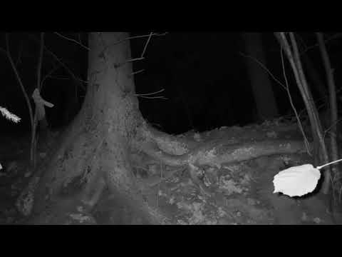 Видео: Начало заглубления на удобной для входа высоте.