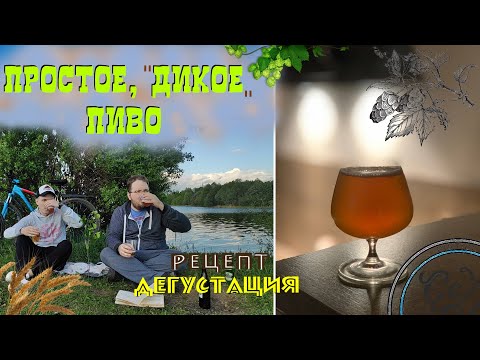 Видео: Простое "Дикое" Пиво! | Easy Wild Beer | Рецепт