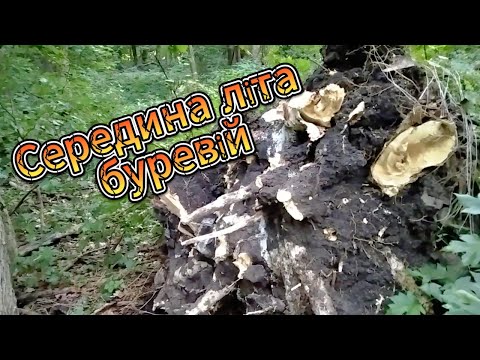 Видео: другой берег -8 #fishing #поход #туризм #рыбалка #