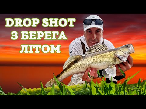 Видео: ⚡ СУДАК. Drop Shot з берега. літо 2024 ⚡