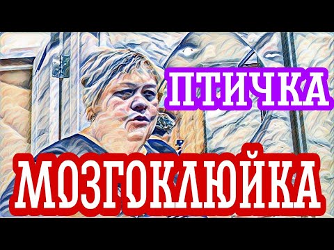 Видео: Ольга Уралочка "мама" дала "сыну" совет. Думает о снохе.Бедная овечка.Прогресс однако.