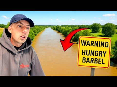 Видео: ЭТО НАКОНЕЦ СЛУЧИЛОСЬ НА РЕКЕ СЕВЕРН