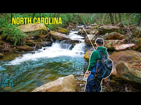 Видео: Нахлыстовая рыбалка в Аппалачах на 3 дня! || Нахлыстовая рыбалка на ручьевую, радужную и коричнев...