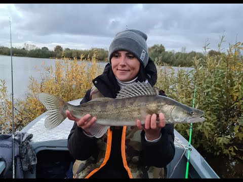 Видео: Судаки на джиг и троллинг, р. Припять, г. Мозырь