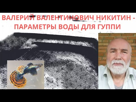 Видео: Валерий Валентинович Никитин - параметры воды для гуппи