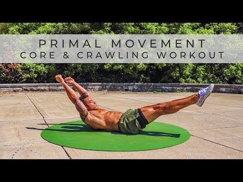 Видео: PRIMAL MOVEMENT FITNESS Тренировка корпуса и ползания [Выполнение по схеме / Без оборудования]