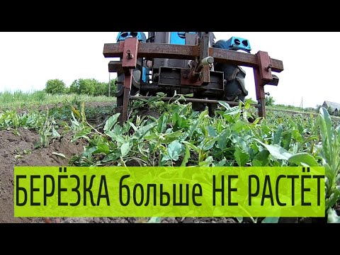 Видео: Такого я еще не видел. Борьба с сорняками.