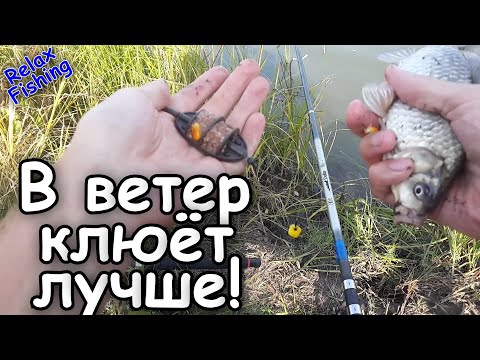 Видео: ВЕТЕР или ШТИЛЬ - когда лучше клюёт рыба? Рыбалка перед сменой погоды осенью. Караси на поплавок.