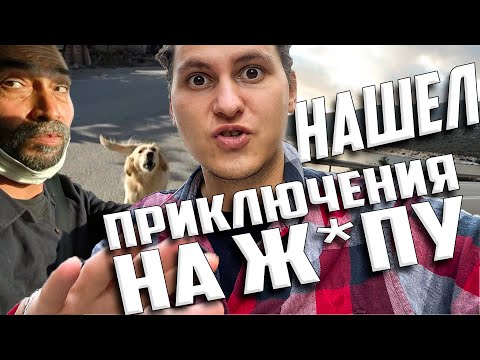 Видео: Турция во время пандемии. Нападение собак. Полиция. Путешествие автостопом пошло не по плану