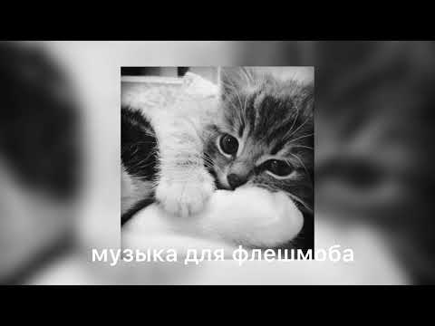 Видео: музыка для флешмоба 