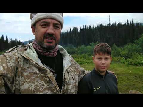 Видео: Поднебесные Зубья. Июль 2022. 3 часть