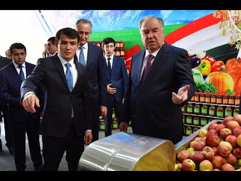Видео: Ба истифода додани корхонаҳои нави саноатӣ дар ноҳияи Балҷувон