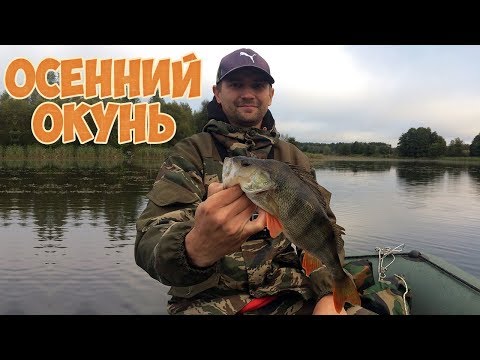 Видео: Крупный окунь на вертушку и воблер.  Осенняя рыбалка 2019