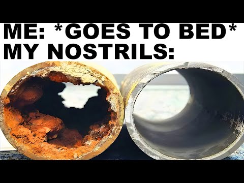 Видео: мемы, которые описывают МЕНЯ