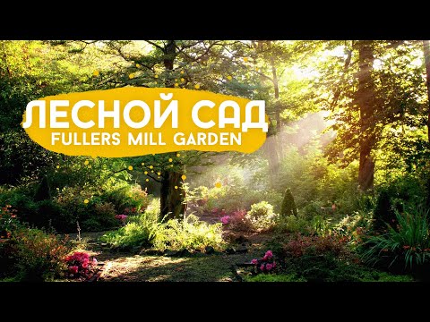 Видео: Сады Fullers Mill в Англии.