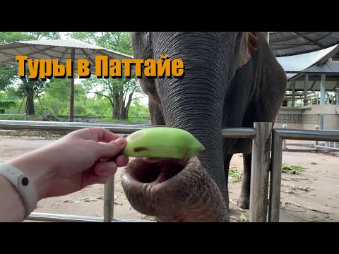 Видео: ФЕРМА КРОКОДИЛОВ | ЖИЗНЬ В ПАТТАЙЕ | ПАРК МИЛЛИОНОЛЕТНИХ КАМНЕЙ | ЦЕНЫ | ВЛОГ #2 ТАЙЛАНД 2022