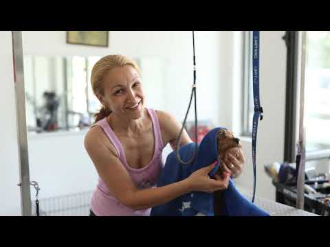 Видео: Продължението, в което ще разберем по- подробно що е то професия грумър!