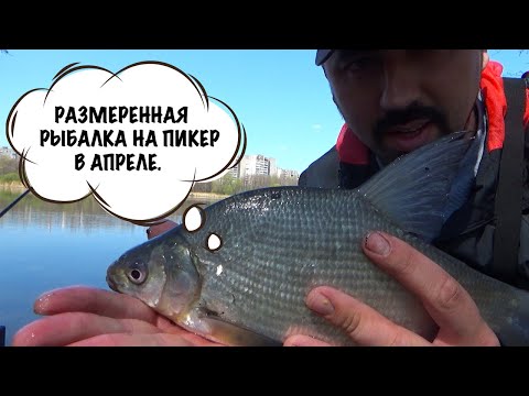 Видео: Рыбалка в стиле УРБАН! Ловлю на пикер в черте города в апреле. Затон Воронежского водохранилища.