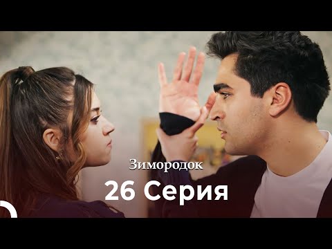 Видео: Зимородок 26 Cерия (Русский дубляж) (4K)
