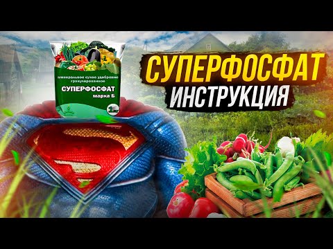 Видео: Суперфосфат — супергерой нашего времени! Особенности применения самого популярного удобрения.