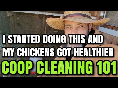 Видео: Эти советы по уборке курятника приведут к более здоровому стаду