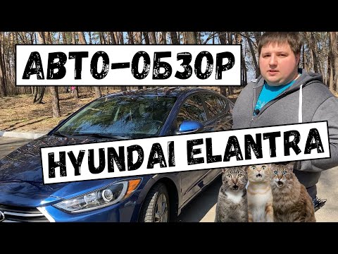 Видео: Хюндай Элантра 2018  Hyundai Elantra обзор 🚙