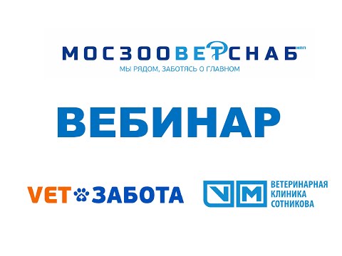 Видео: Клинические случаи пиодермии  Тактика ведения