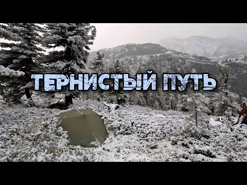 Видео: Выбираемся из снегов | Продираемся сквозь густые заросли #12