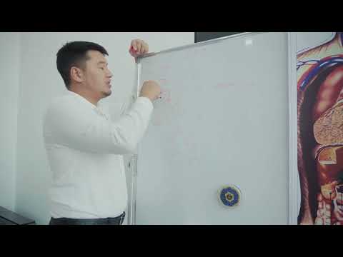 Видео: 29 октября 2025 г.