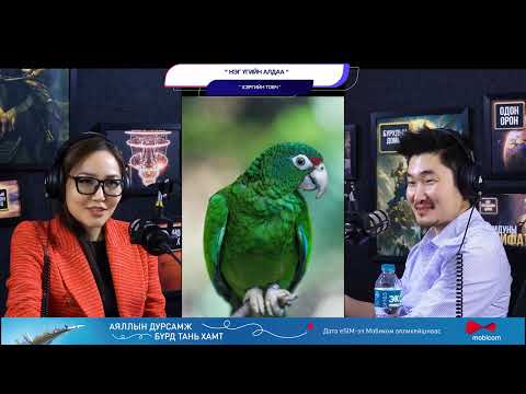 Видео: Нэг үгийн алдаа - ХЭРГИЙН ТОВЧ