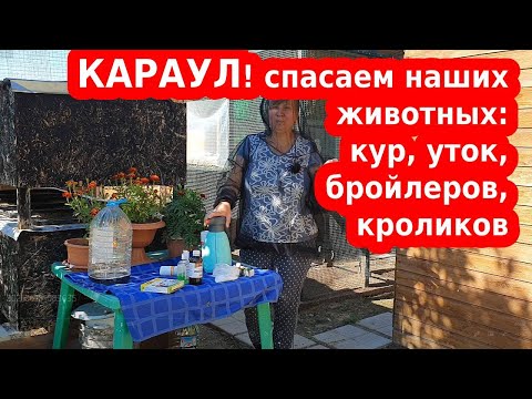 Видео: Супер средства от мошек и комаров для кур и кроликов// Нешуточная борьба с комарами и  не только