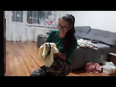 Видео: Белый Лекарь Николь. Роды.