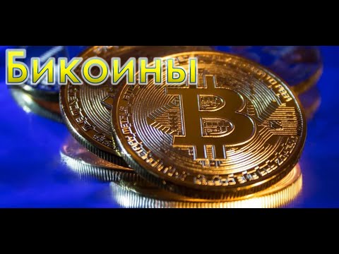 Видео: Shelter war - Бикоины