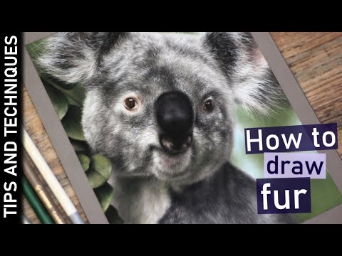 Видео: Рисуем реалистичную шерсть пастелью | Рисунок коалы пастельными карандашами