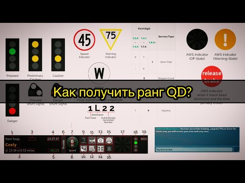 Видео: Как получить ранг QD в scr