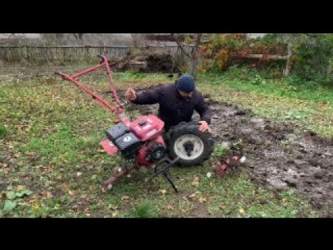 Видео: 28 октября 2025 г.