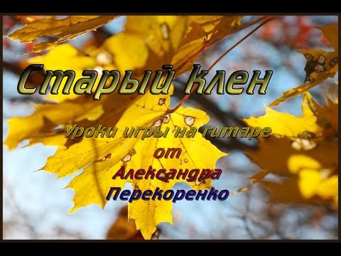 Видео: Старый клён на гитаре. УРОК НА ГИТАРЕ. fingerstyle