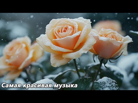 Видео: Музыка для души, которую хочется слушать вечно🌿 Лучшие работы Сергея Грищука