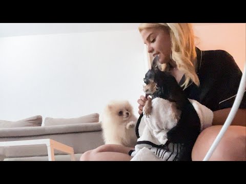 Видео: ИЗТЪРВАХ СИ ПОЛЕТА | Фестивал в Пловдив +семейни моменти 😁🐾