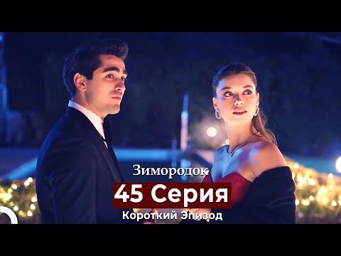 Видео: Зимородок 45 Cерия (Короткий Эпизод) (Русский дубляж)