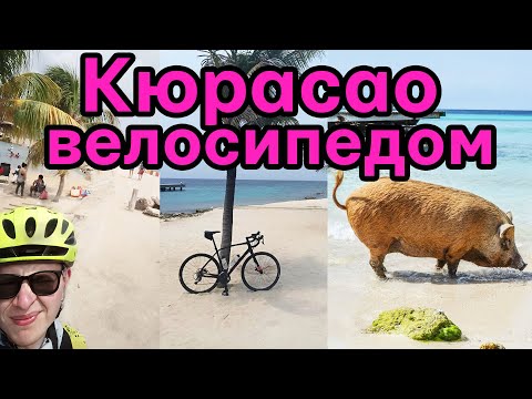 Видео: Гравійником по тропічному острову, як живе Кюрасао, Erasmus+ - халявні подорожі