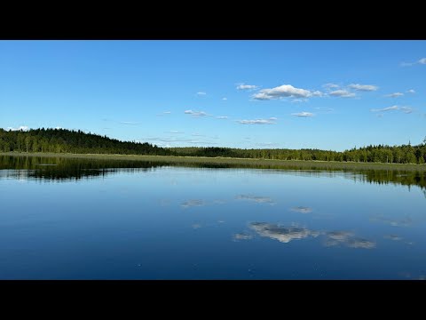 Видео: Карелия. Наткнулись на садки с Форелью.