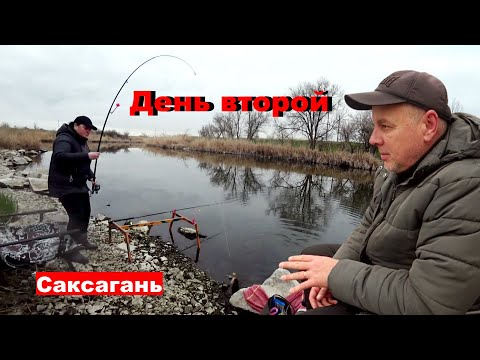 Видео: Не забывай за ПОДСАК !!! 🐬🐬 Саксагань УДИВЛЯЕТ... 🐟🐟