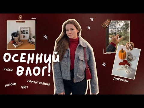 Видео: Уютный осенний влог 🍂 учёба, рабочий стол и покупки с AliExpress